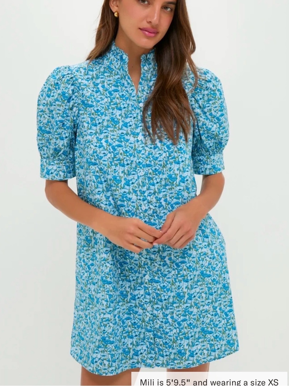 Hyacinth House blue poppies floral dress